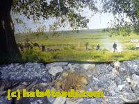 /home//u458753944/public_html/sourcegallery/////Roxborough Toad Detour/2013-2019/2014/2014-04-12/P1140954.JPG
